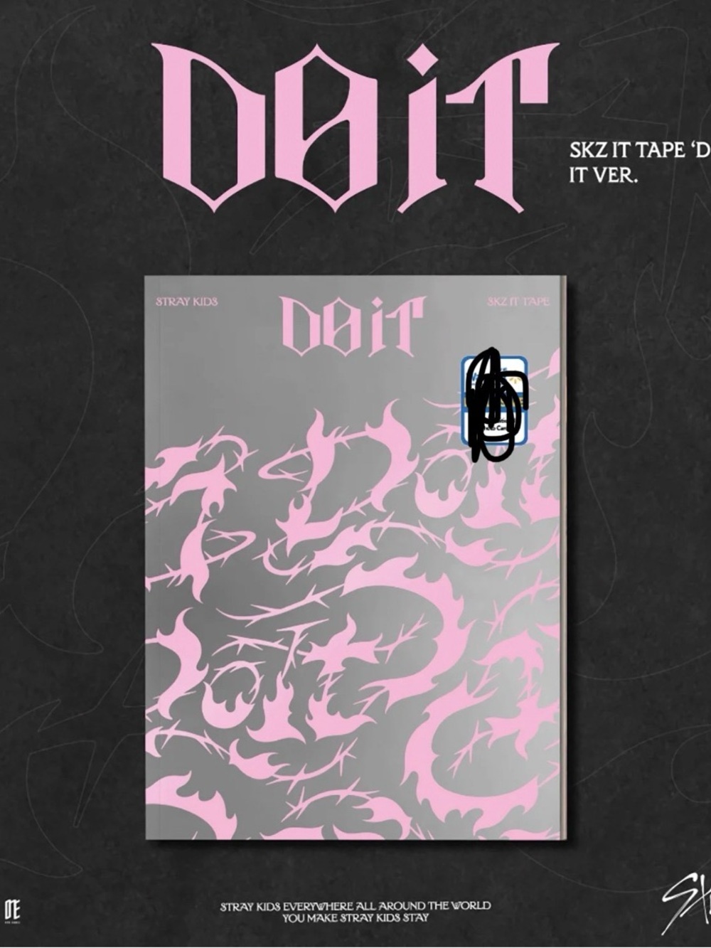 DO IT K-pop Album Pink and Gray Decorative Wall Poster - Stray Kids
